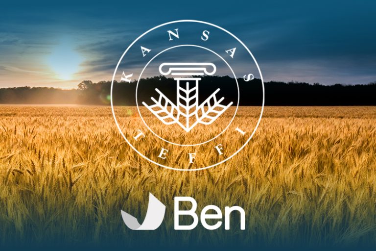 TEFFI-Wheat-blog-featured-image