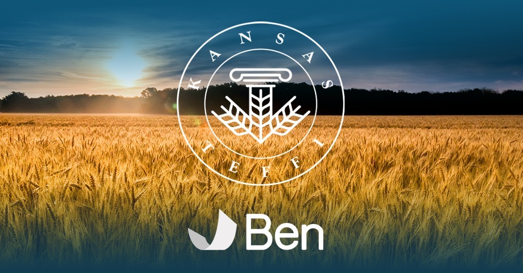 TEFFI-Wheat-blog-featured-image