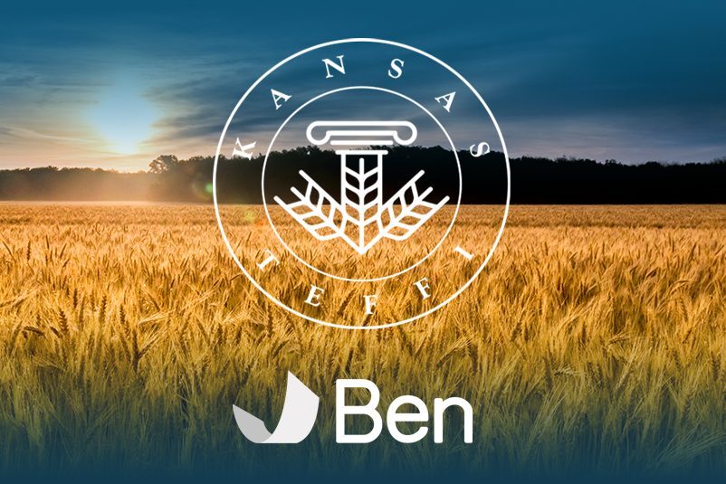 TEFFI-Wheat-blog-featured-image